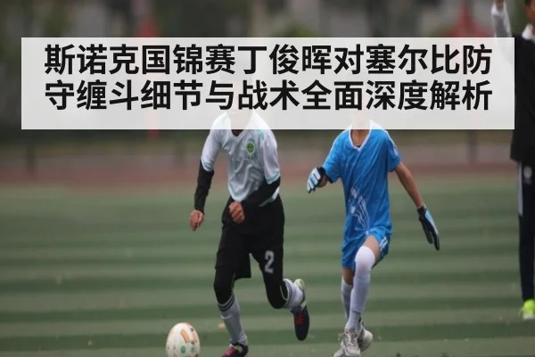 斯诺克国锦赛丁俊晖对塞尔比防守缠斗细节与战术全面深度解析